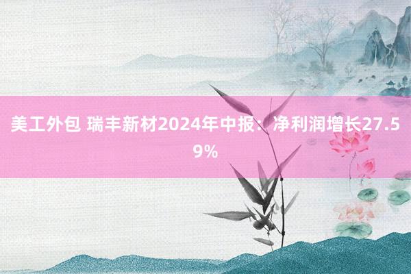 美工外包 瑞丰新材2024年中报：净利润增长27.59%