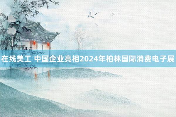 在线美工 中国企业亮相2024年柏林国际消费电子展